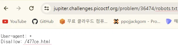 picoCTF: where are the robots(Web) 이미지 3
